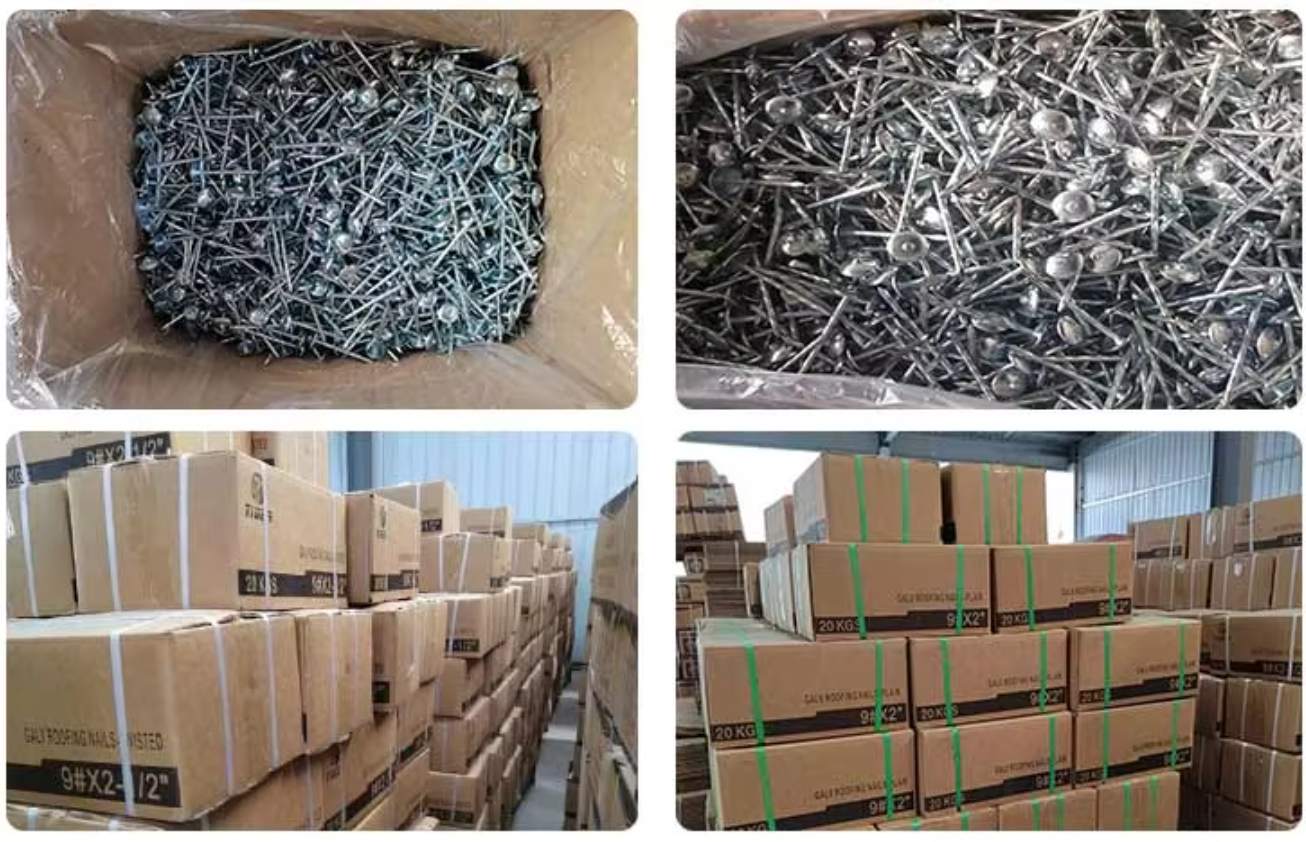 Bulk packing and export carton packing of umbrella roofing nails showing large quantity shipment ready for delivery.
