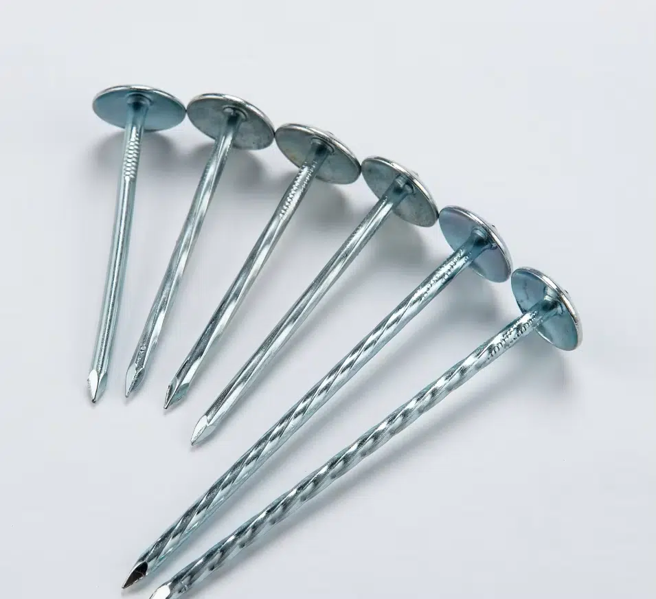 Hot dip galvanized umbrella head roofing nails for securing asphalt shingles and wooden roof panels with strong corrosion resistance.