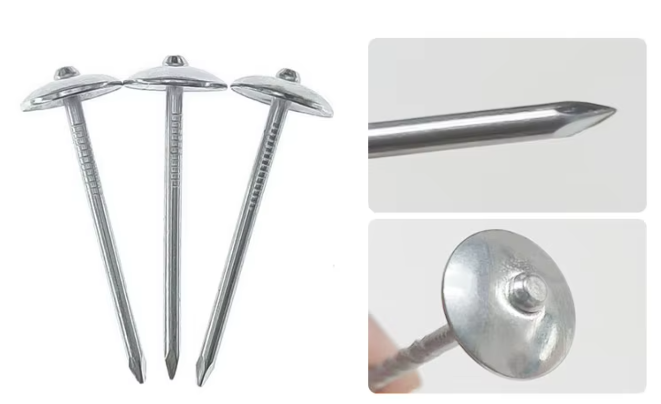 Detailed view of galvanized umbrella roofing nails highlighting the wide umbrella head and sharp diamond point for roofing installation.